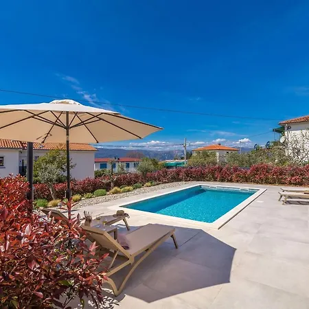 House Andro Pinezići